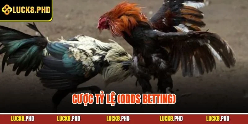 Cược tỷ lệ (Odds Betting)