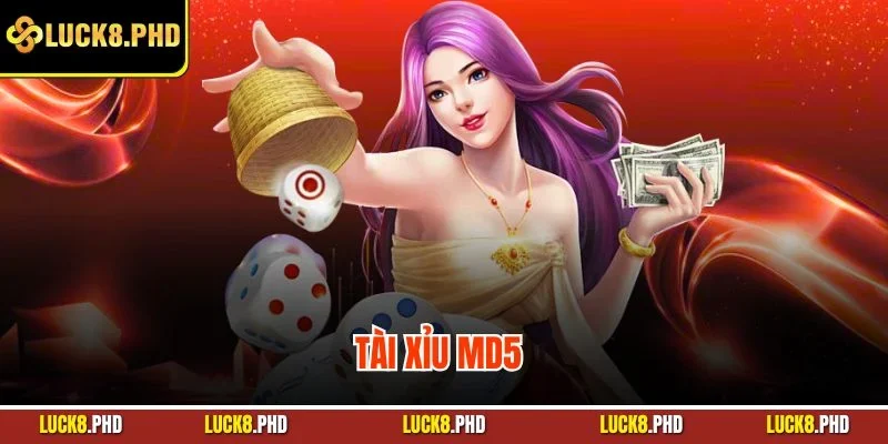 Tài xỉu MD5